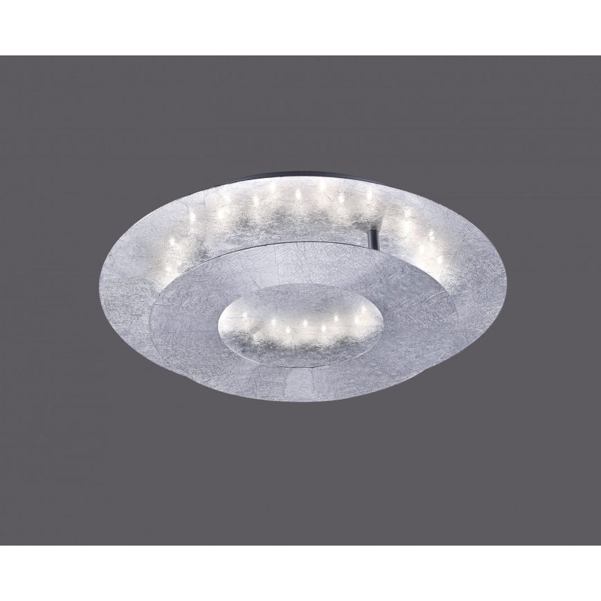 Paul Neuhaus 9011-21 - LED Stropna svjetiljka NEVIS LED/6W/230V srebrna
