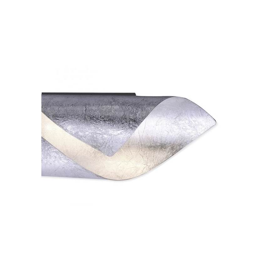 Paul Neuhaus 9030-21 - LED Zidna svjetiljka NEVIS LED/6W/230V srebrna