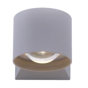 Paul Neuhaus 9441-21 - LED Vanjska zidna svjetiljka TIMO 2xLED/2W/230V IP54