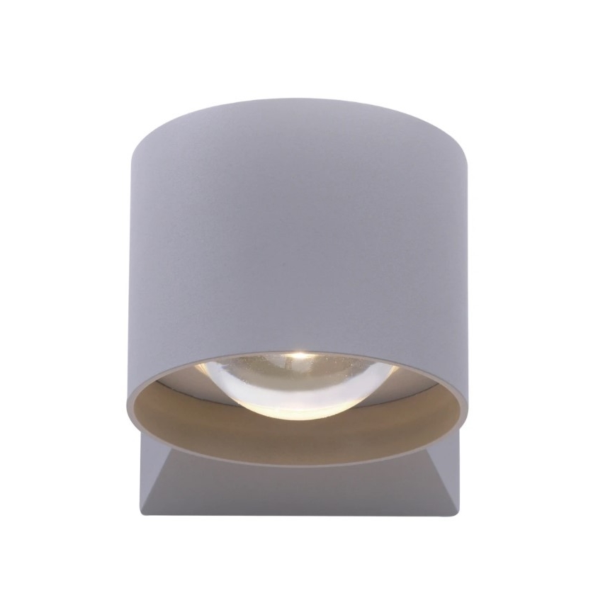 Paul Neuhaus 9441-21 - LED Vanjska zidna svjetiljka TIMO 2xLED/2W/230V IP54