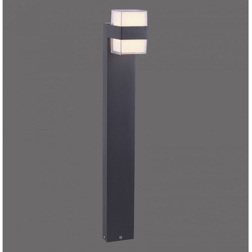 Paul Neuhaus 9481-13 - LED Vanjska lampa CARA LED/8W/230V IP44