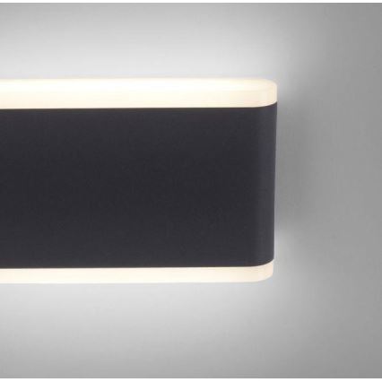 Paul Neuhaus 9483-13 - LED Vanjska zidna svjetiljka ELSA 2xLED/5,4W/230V IP65