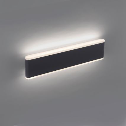 Paul Neuhaus 9484-13 - LED Prigušiva vanjska zidna svjetiljka ELSA 2xLED/9W/230V IP65