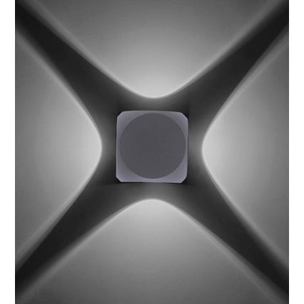 Paul Neuhaus 9485-21 - LED Vanjska zidna svjetiljka CARLO 4xLED/0,8W/230V IP54