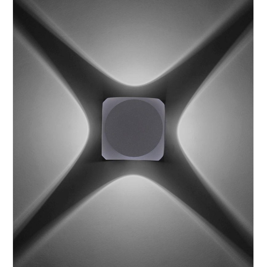 Paul Neuhaus 9485-21 - LED Vanjska zidna svjetiljka CARLO 4xLED/0,8W/230V IP54