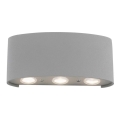Paul Neuhaus 9488-21 - LED Vanjska zidna svjetiljka CARLO 6xLED/0,8W/230V IP54