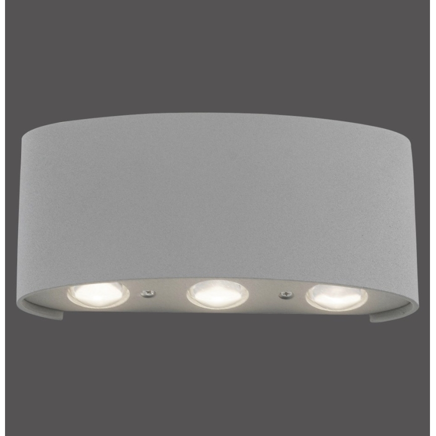 Paul Neuhaus 9488-21 - LED Vanjska zidna svjetiljka CARLO 6xLED/0,8W/230V IP54