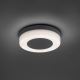 Paul Neuhaus 9490-13 - LED Vanjska svjetiljka FABIAN LED/12,6W/230V IP54