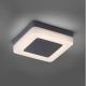 Paul Neuhaus 9491-13 - LED Vanjska svjetiljka FABIAN LED/12,6W/230V IP54