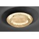 Paul Neuhaus 9621-12 - LED Stropna svjetiljka NEVIS LED/24W/230V
