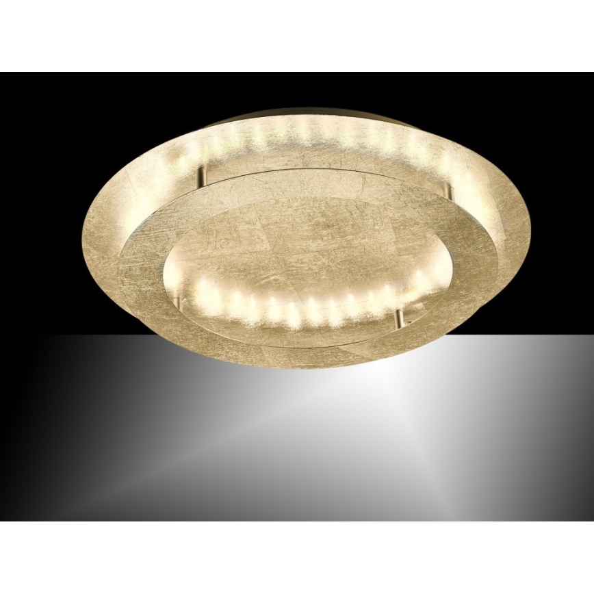 Paul Neuhaus 9621-12 - LED Stropna svjetiljka NEVIS LED/24W/230V