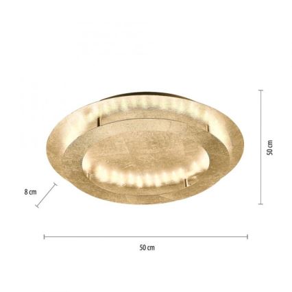 Paul Neuhaus 9621-12 - LED Stropna svjetiljka NEVIS LED/24W/230V