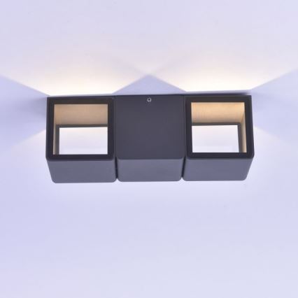 Paul Neuhaus 9658-13 - LED Vanjska zidna svjetiljka MARCEL 2xLED/4W/230V IP54