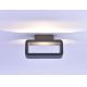 Paul Neuhaus 9668-13 - LED Vanjska zidna svjetiljka HENDRIK LED/5,2W/230V IP54