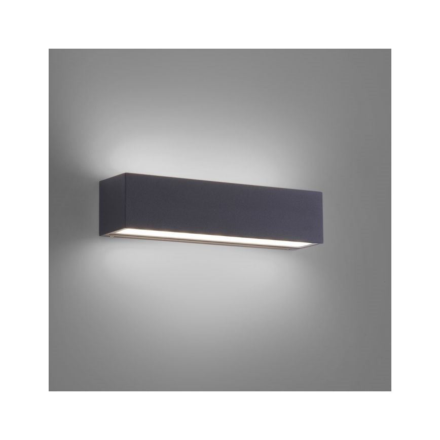 Paul Neuhaus 9675-13 - LED Vanjska zidna svjetiljka ROBERT 2xLED/9W/230V IP65