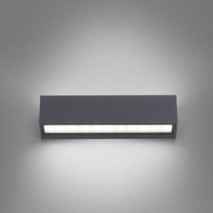 Paul Neuhaus 9675-13 - LED Vanjska zidna svjetiljka ROBERT 2xLED/9W/230V IP65