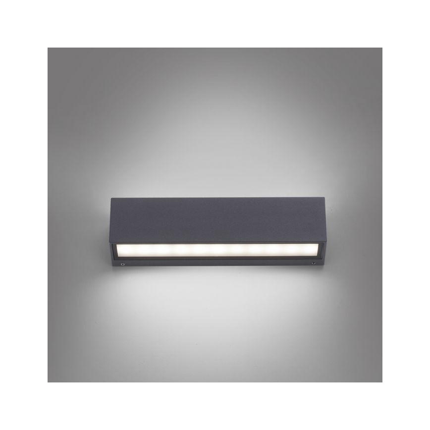 Paul Neuhaus 9675-13 - LED Vanjska zidna svjetiljka ROBERT 2xLED/9W/230V IP65