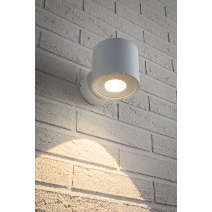 Paulmann 18007 - LED/5W IP44 Vanjska zidna svjetiljka FLAME 230V