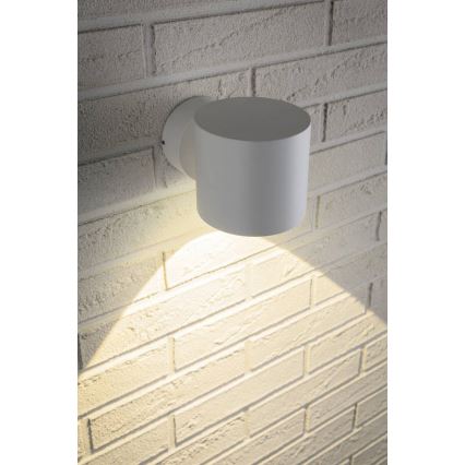 Paulmann 18007 - LED/5W IP44 Vanjska zidna svjetiljka FLAME 230V