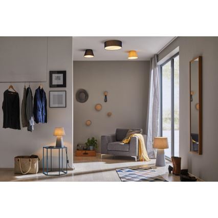 Paulmann 70949 - 1xE14/20W Stropna svjetiljka MEA 230V