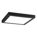 Paulmann 70985 - LED/22W Stropna svjetiljka ABIA 230V