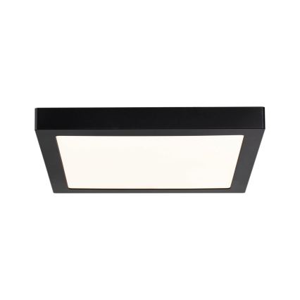 Paulmann 70985 - LED/22W Stropna svjetiljka ABIA 230V