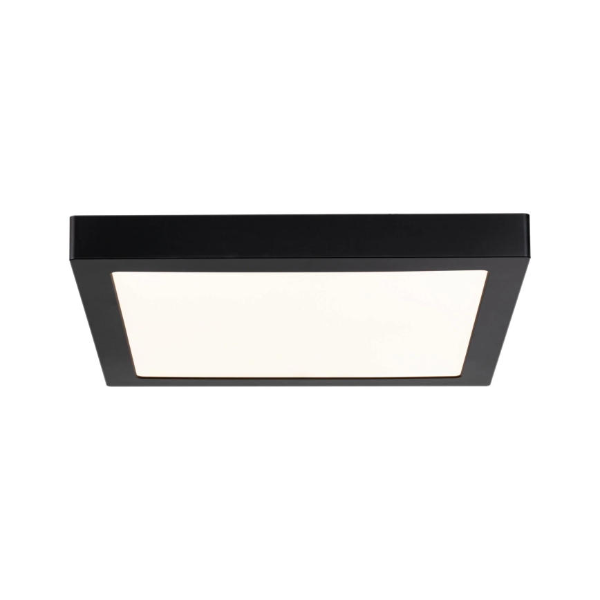 Paulmann 70985 - LED/22W Stropna svjetiljka ABIA 230V