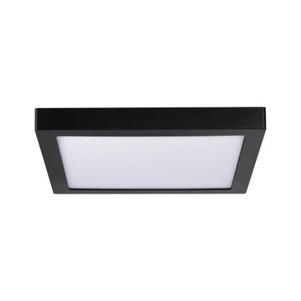 Paulmann 70985 - LED/22W Stropna svjetiljka ABIA 230V