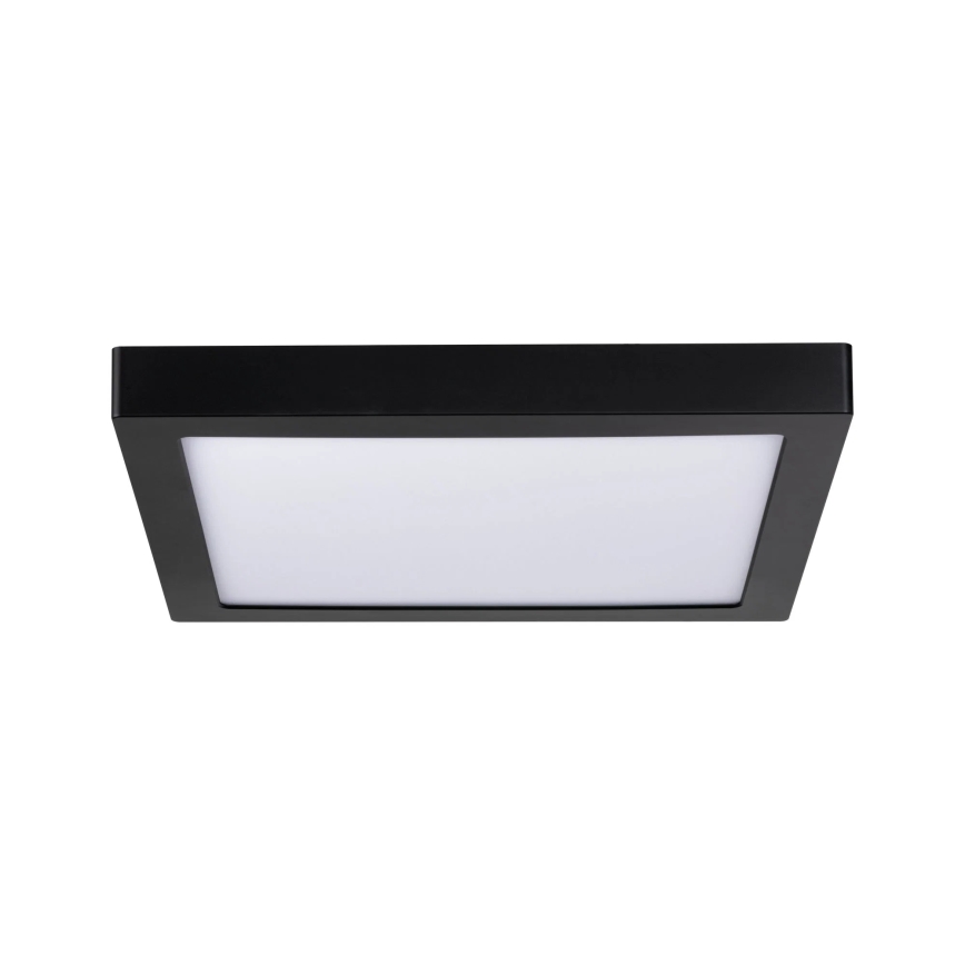 Paulmann 70985 - LED/22W Stropna svjetiljka ABIA 230V