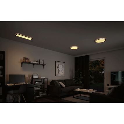 Paulmann 71003 - LED/22W Prigušivi panel ATRIA 230V 3000K 20x58 cm crna