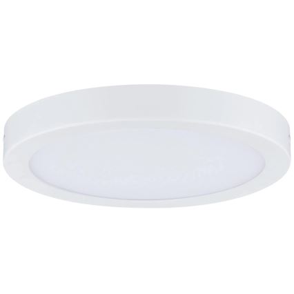 Paulmann 71021 - LED/22W Stropna svjetiljka ABIA 230V bijela