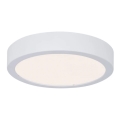 Paulmann 78923 - LED/13W IP44 Dimmabilno stropno svjetlo za kupaonicu AVIAR 230V