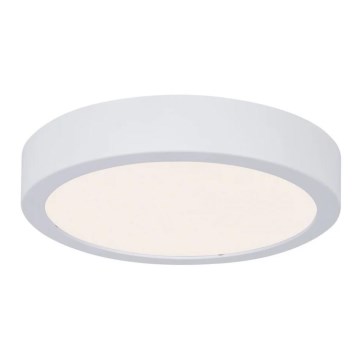 Paulmann 78923 - LED/13W IP44 Dimmabilno stropno svjetlo za kupaonicu AVIAR 230V