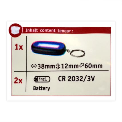 Paulmann 78968 - LED/1W Privjesak za ključeve MINI KEY