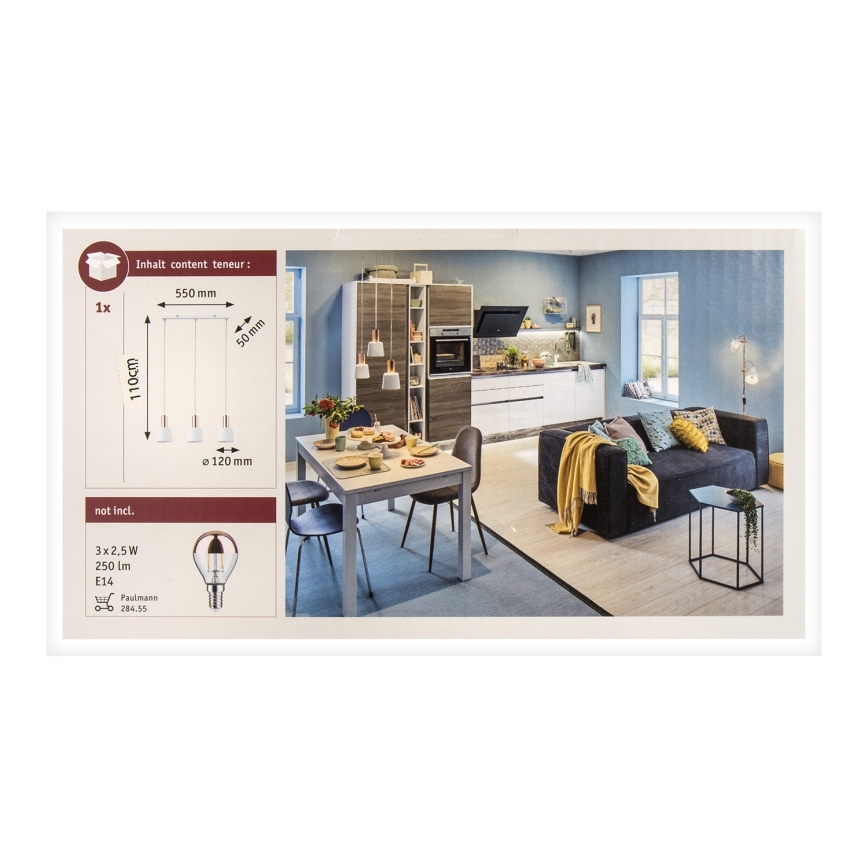 Paulmann 79657 - 3xE14/20W Luster na sajli NEORDIC HALDAR 230V
