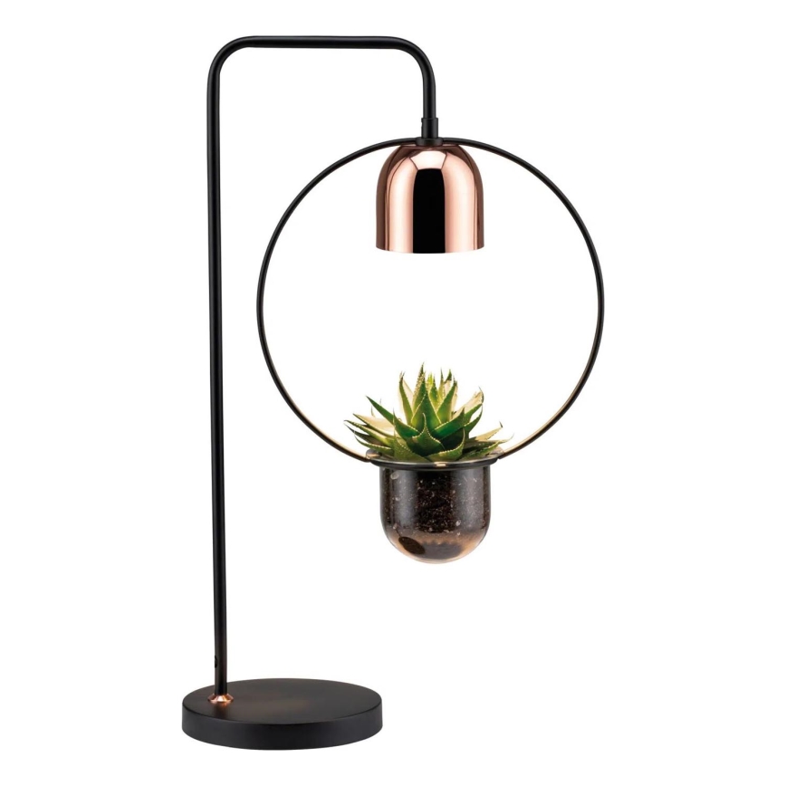 Paulmann 79746 - 1xGU10/20W Stolna svjetiljka FANJA 230V zadimljena