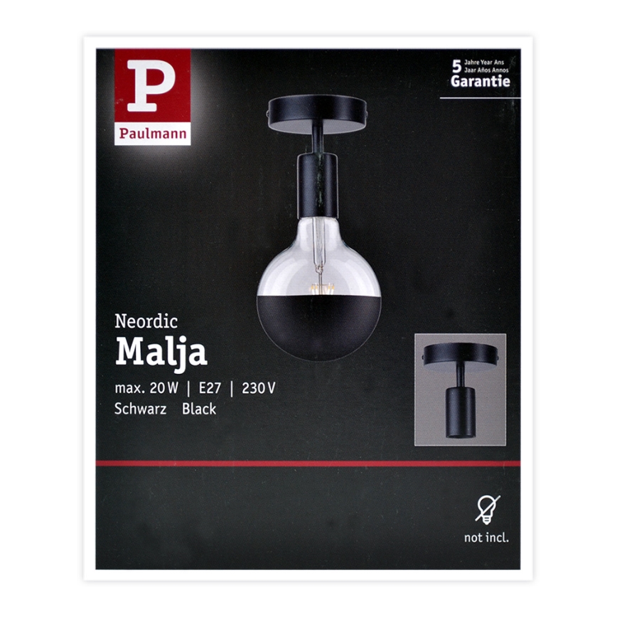 Paulmann 79760 - Stropna svjetiljka HALDOR 1xE27/20W/230V