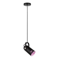 Paulmann 79766 - 1xE27/15W Viseći luster na kabelu LAVEA 230V crna