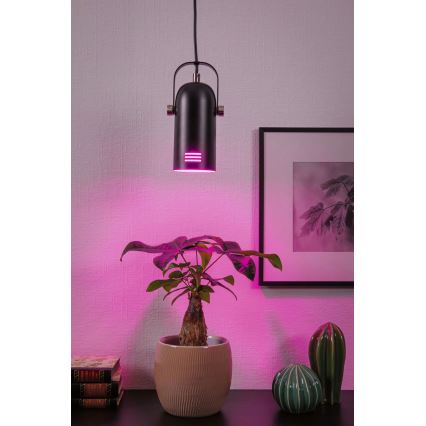Paulmann 79766 - 1xE27/15W Viseći luster na kabelu LAVEA 230V crna