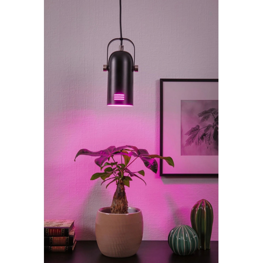 Paulmann 79766 - 1xE27/15W Viseći luster na kabelu LAVEA 230V crna