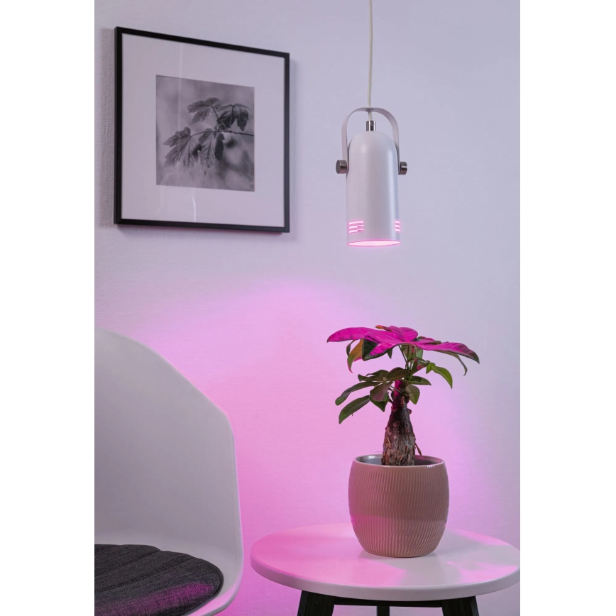 Paulmann 79767 - LED RGBW 1xE27/9W Luster na sajli LAVEA 230V bijela