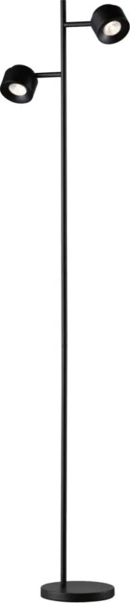 Paulmann 79775 - 2xLED/3W Dimmabilna podna lampa PURIK PANE 230V