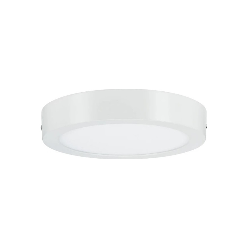 Paulmann 79795 - LED/13W Stropna svjetiljka CARPO 230V 2300/2500/3000K