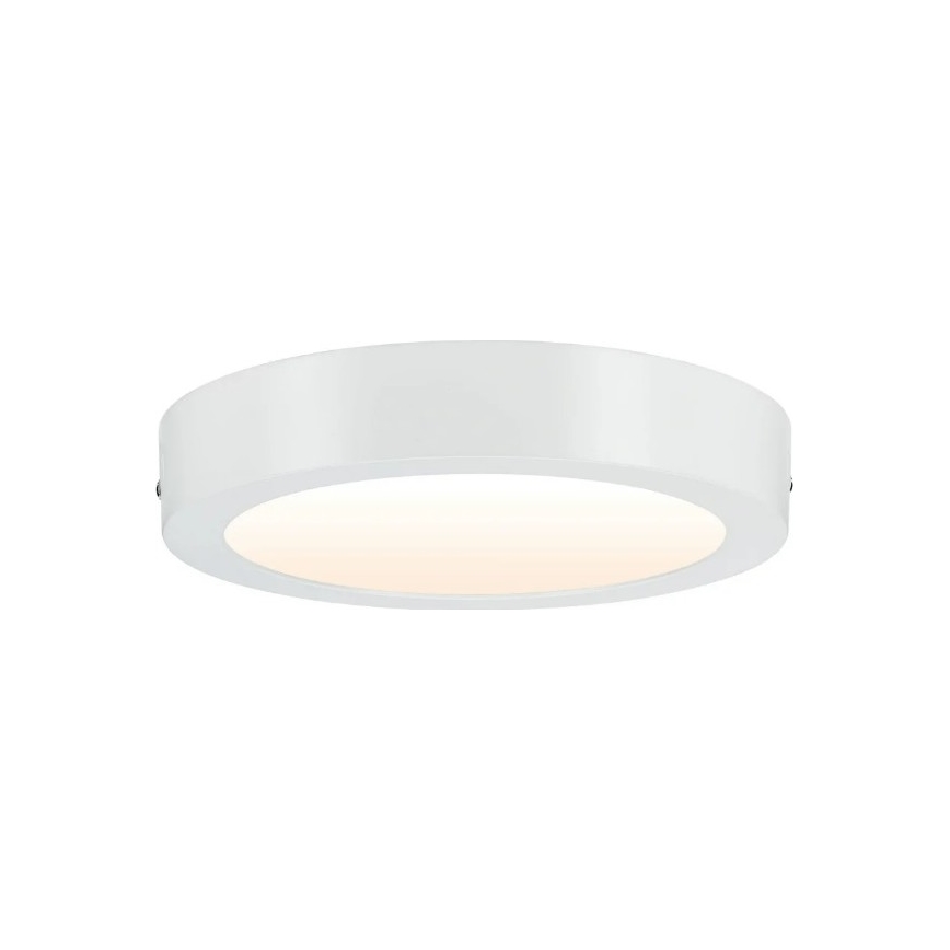 Paulmann 79795 - LED/13W Stropna svjetiljka CARPO 230V 2300/2500/3000K