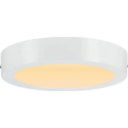 Paulmann 79795 - LED/13W Stropna svjetiljka CARPO 230V 2300/2500/3000K