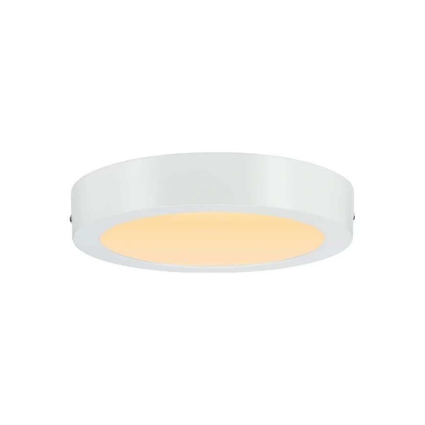 Paulmann 79795 - LED/13W Stropna svjetiljka CARPO 230V 2300/2500/3000K
