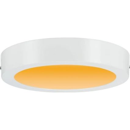 Paulmann 79795 - LED/13W Stropna svjetiljka CARPO 230V 2300/2500/3000K