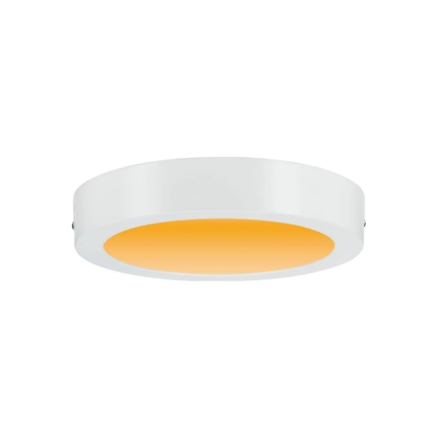 Paulmann 79795 - LED/13W Stropna svjetiljka CARPO 230V 2300/2500/3000K
