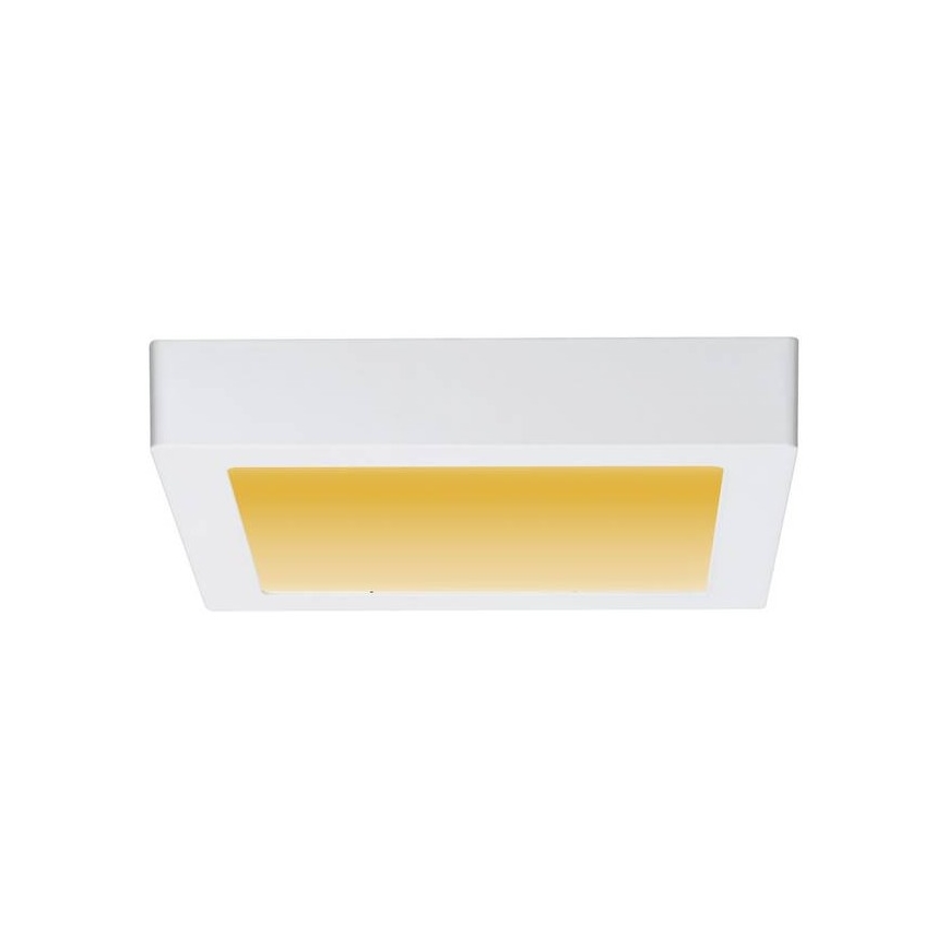 Paulmann 79796 - LED/13W Stropna svjetiljka CARPO 230V 2300-3000K