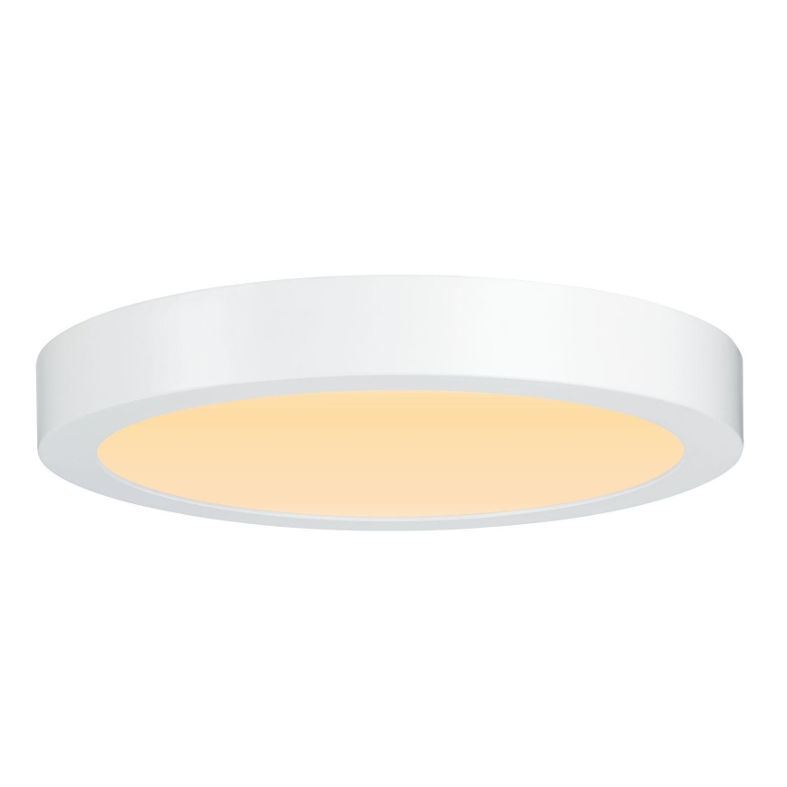 Paulmann 79799 - LED/19W Stropna svjetiljka CARPO 230V 2300/2500/3000K